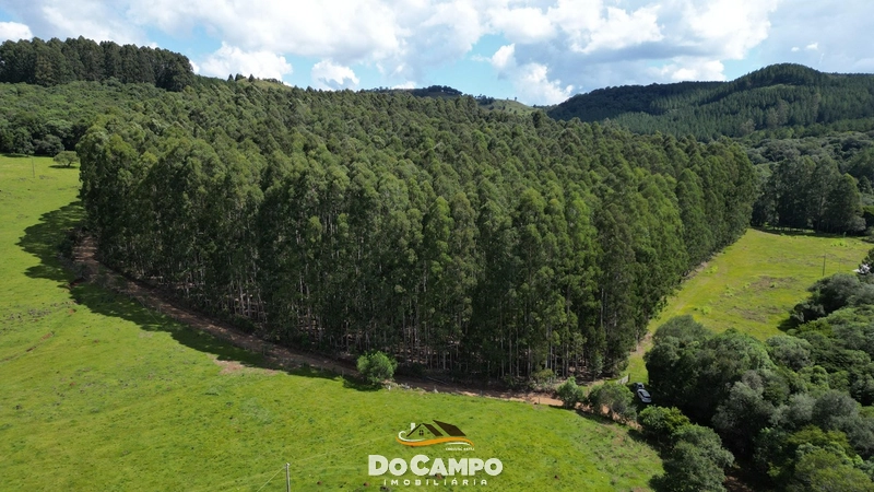 : 5ª foto da galeria de imagens do imóvel