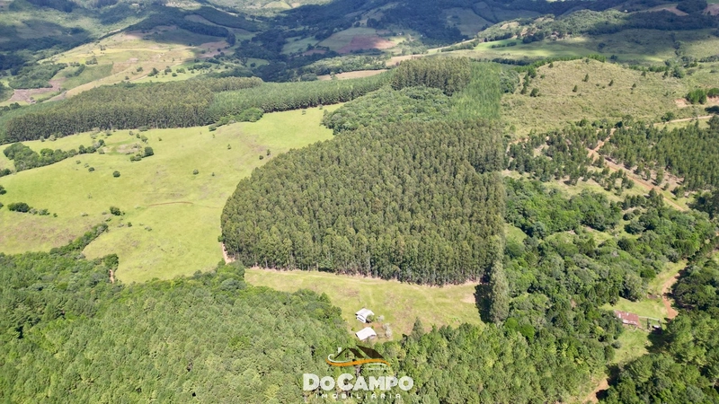 : 12ª foto da galeria de imagens do imóvel