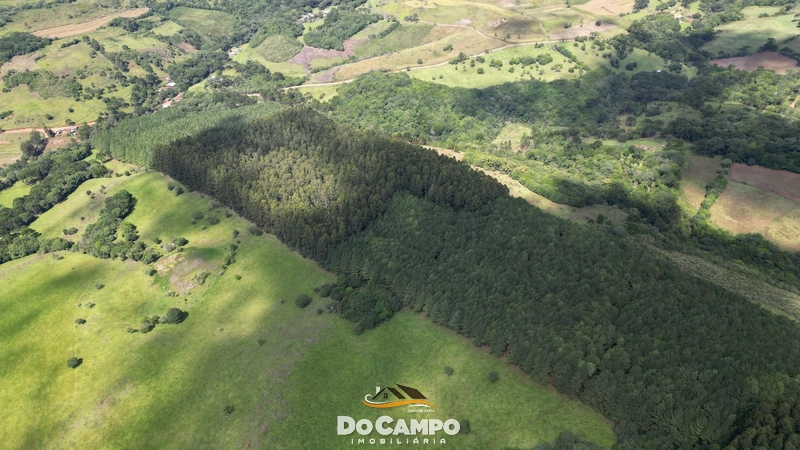 : 14ª foto da galeria de imagens do imóvel