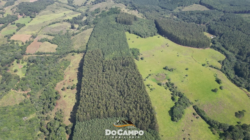 : 7ª foto da galeria de imagens do imóvel