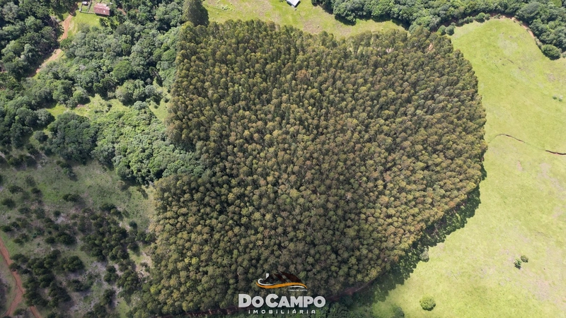 : 13ª foto da galeria de imagens do imóvel