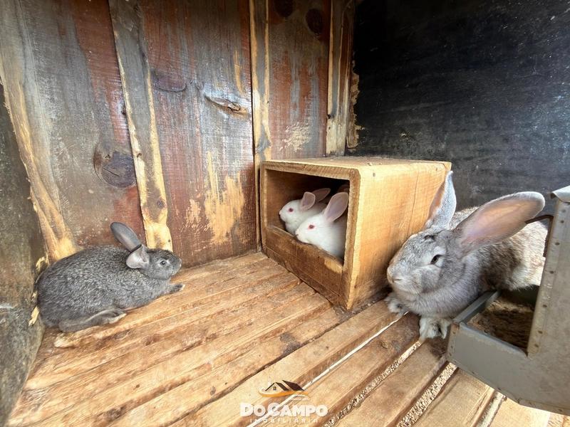 : 29ª foto da galeria de imagens do imóvel