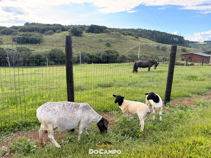 : 28ª foto da galeria de imagens do imóvel