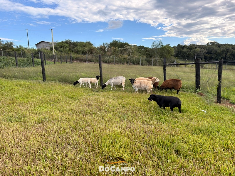 : 27ª foto da galeria de imagens do imóvel