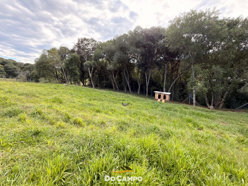 : 20ª foto da galeria de imagens do imóvel