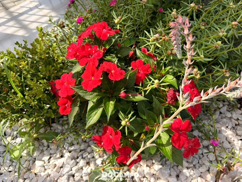 : 10ª foto da galeria de imagens do imóvel