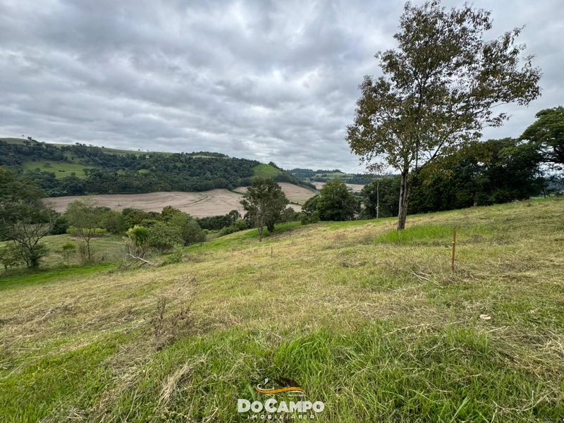 : 11ª foto da galeria de imagens do imóvel