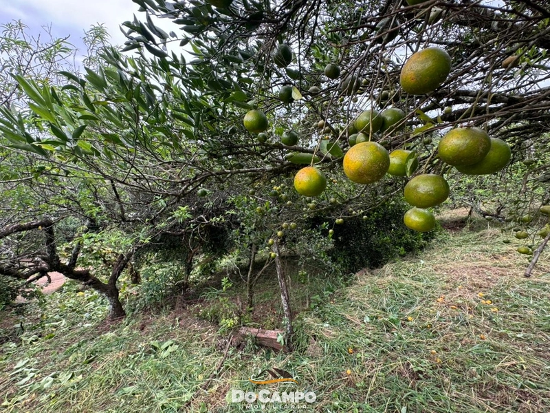 : 4ª foto da galeria de imagens do imóvel