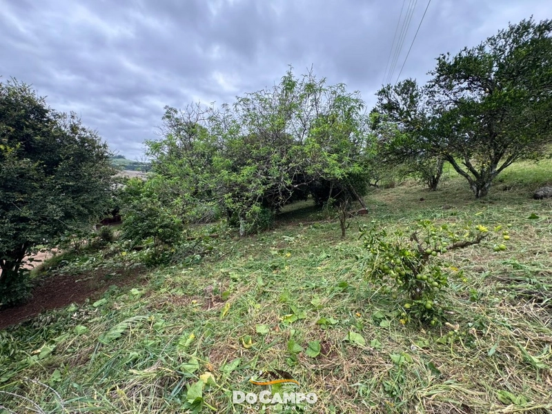 : 6ª foto da galeria de imagens do imóvel