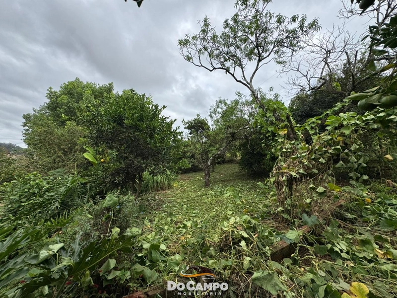 : 5ª foto da galeria de imagens do imóvel