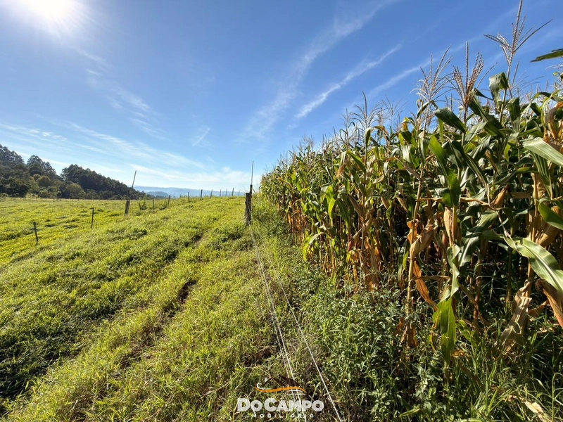 : 15ª foto da galeria de imagens do imóvel