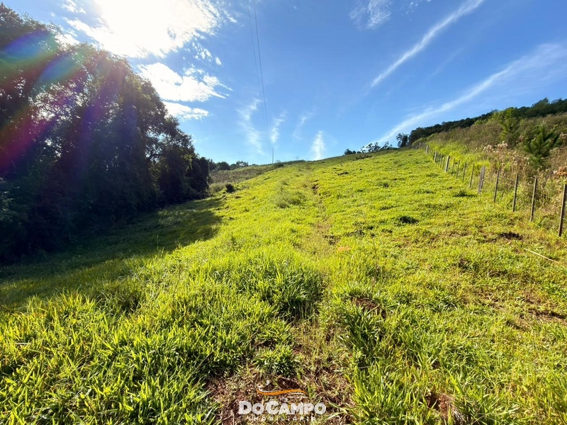 : 11ª foto da galeria de imagens do imóvel