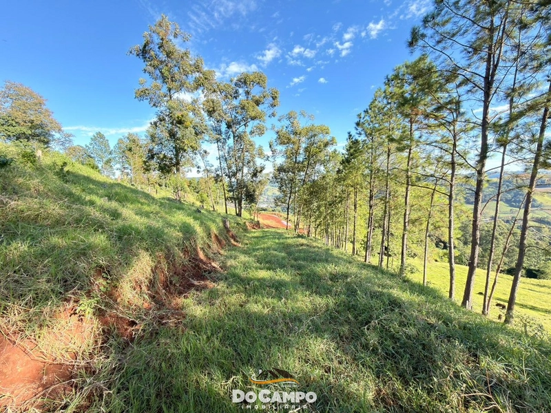 : 1ª foto da galeria de imagens do imóvel