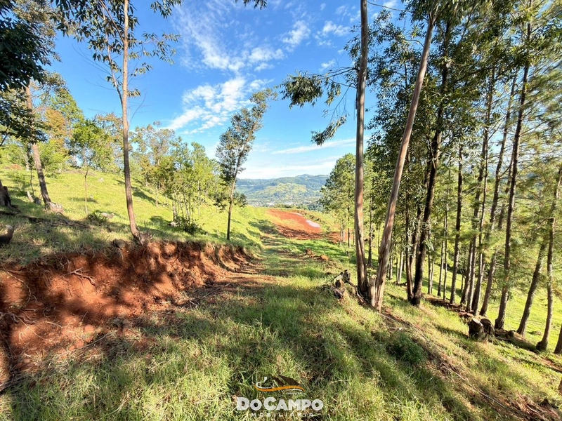 : 5ª foto da galeria de imagens do imóvel