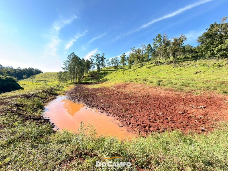 : 7ª foto da galeria de imagens do imóvel