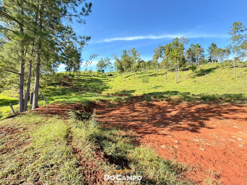 : 6ª foto da galeria de imagens do imóvel