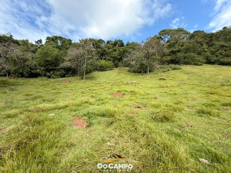 : 41ª foto da galeria de imagens do imóvel