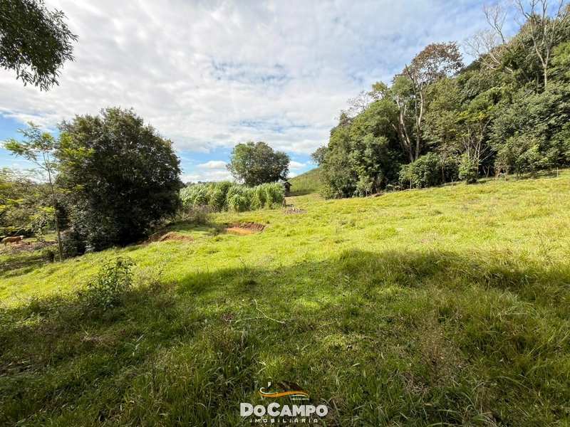 : 36ª foto da galeria de imagens do imóvel