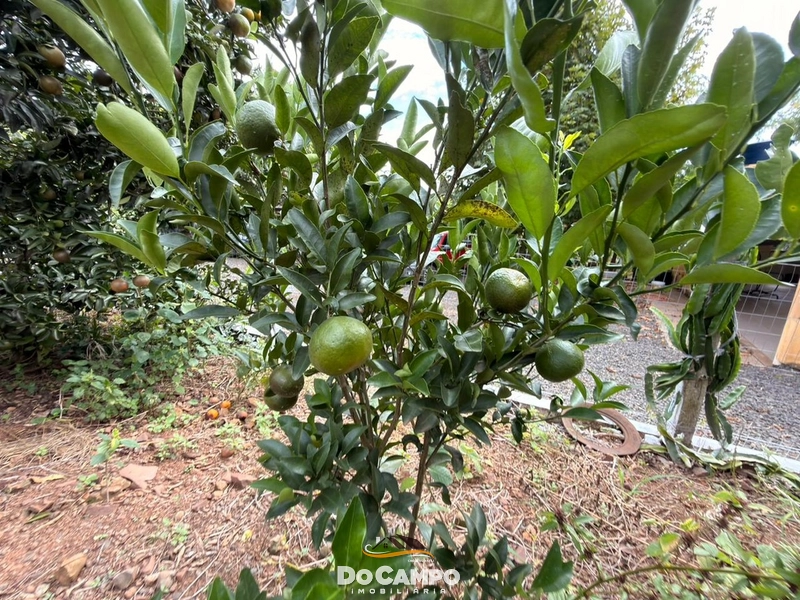 : 14ª foto da galeria de imagens do imóvel