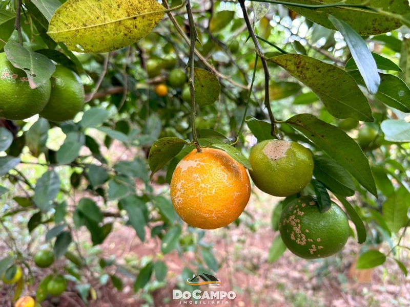 : 21ª foto da galeria de imagens do imóvel