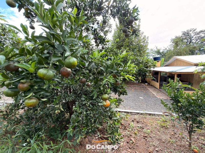 : 11ª foto da galeria de imagens do imóvel