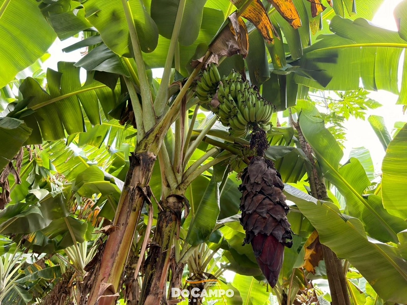 : 25ª foto da galeria de imagens do imóvel