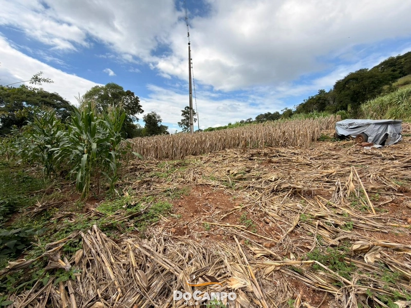: 20ª foto da galeria de imagens do imóvel