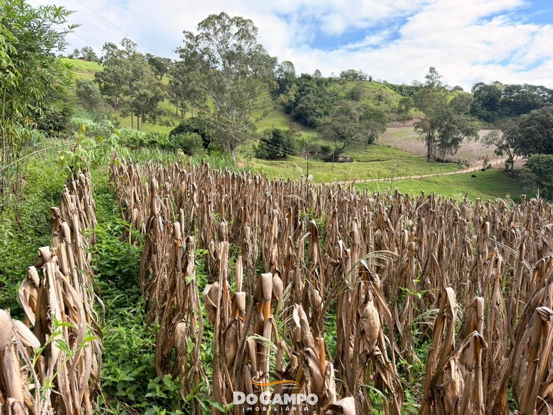 : 24ª foto da galeria de imagens do imóvel