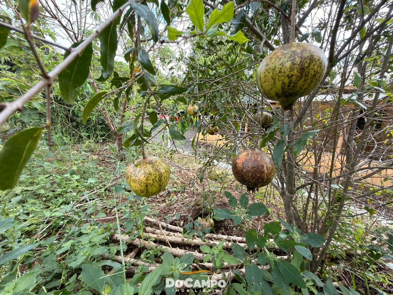 : 17ª foto da galeria de imagens do imóvel