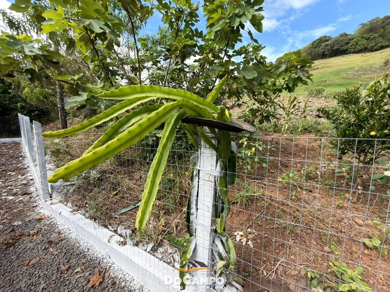 : 30ª foto da galeria de imagens do imóvel
