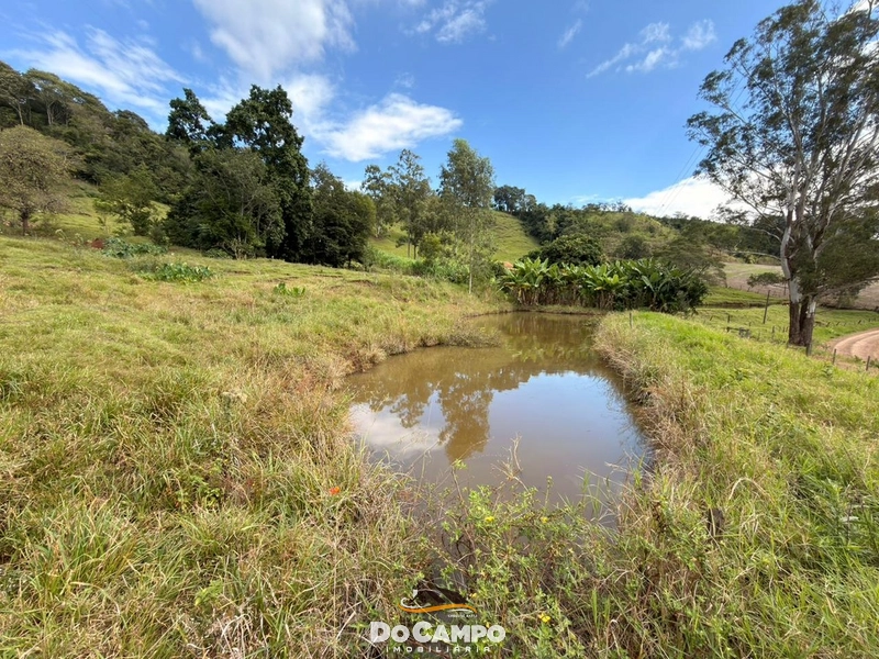 : 43ª foto da galeria de imagens do imóvel