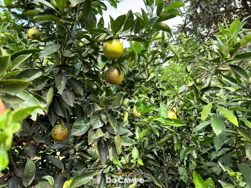 : 12ª foto da galeria de imagens do imóvel