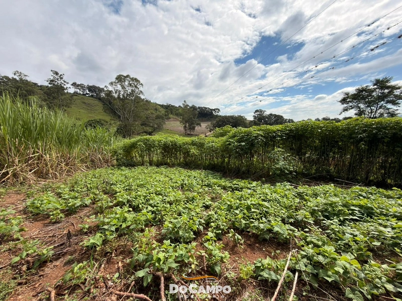 : 13ª foto da galeria de imagens do imóvel