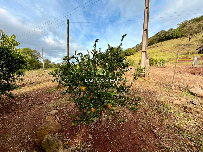 : 22ª foto da galeria de imagens do imóvel