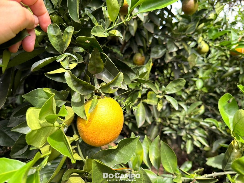 : 16ª foto da galeria de imagens do imóvel