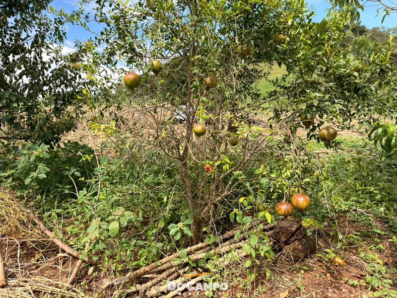 : 28ª foto da galeria de imagens do imóvel