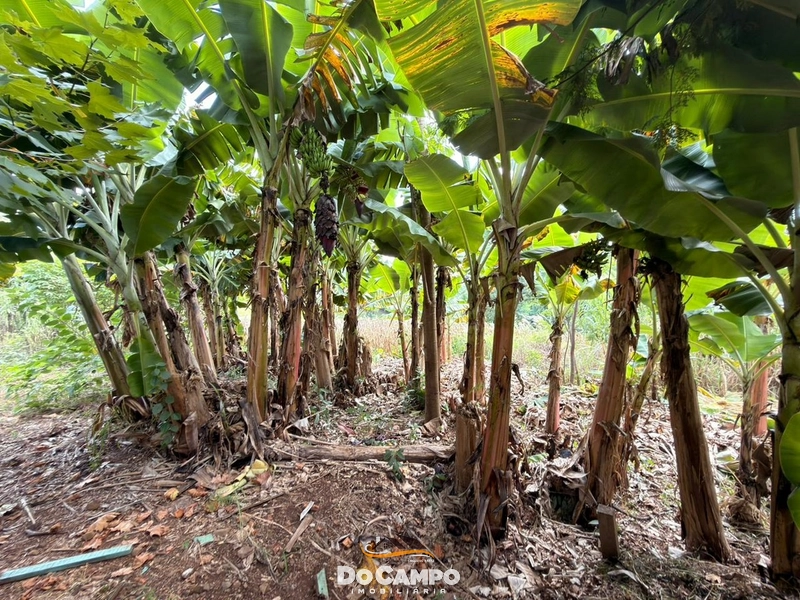 : 26ª foto da galeria de imagens do imóvel