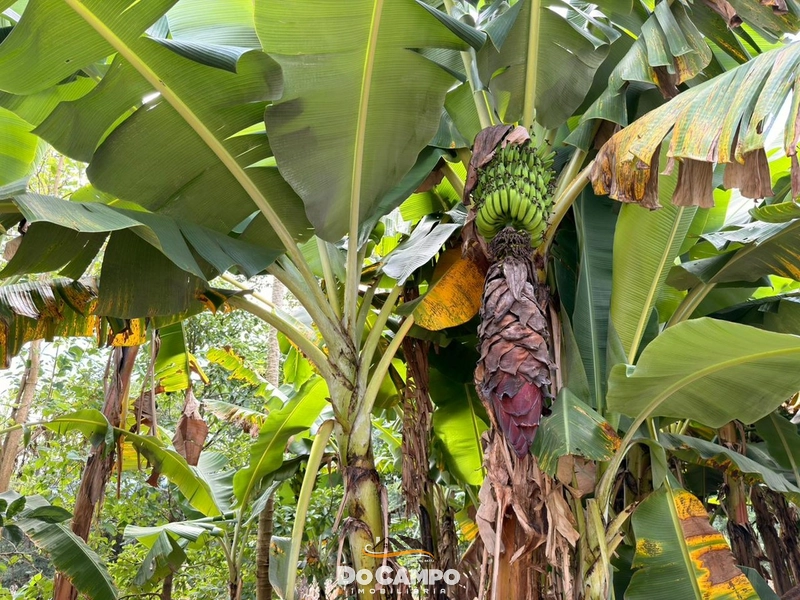 : 23ª foto da galeria de imagens do imóvel