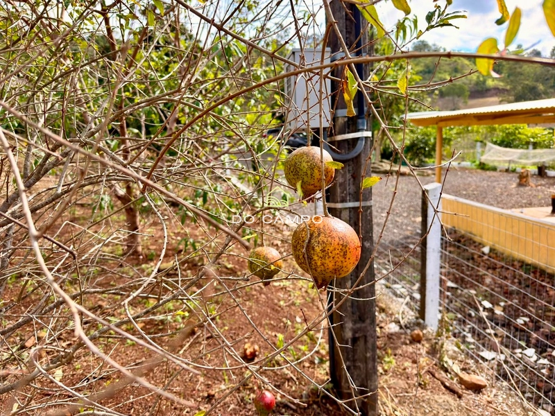 : 8ª foto da galeria de imagens do imóvel