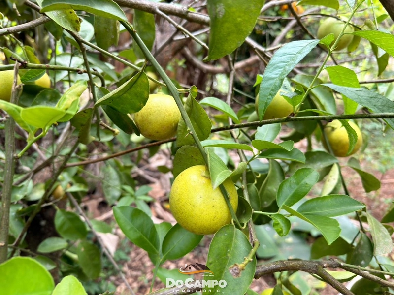 : 22ª foto da galeria de imagens do imóvel
