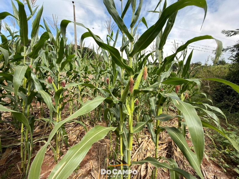 : 27ª foto da galeria de imagens do imóvel