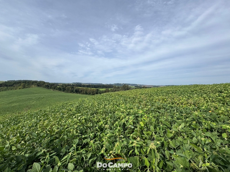 : 4ª foto da galeria de imagens do imóvel