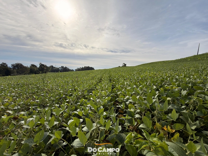 : 14ª foto da galeria de imagens do imóvel