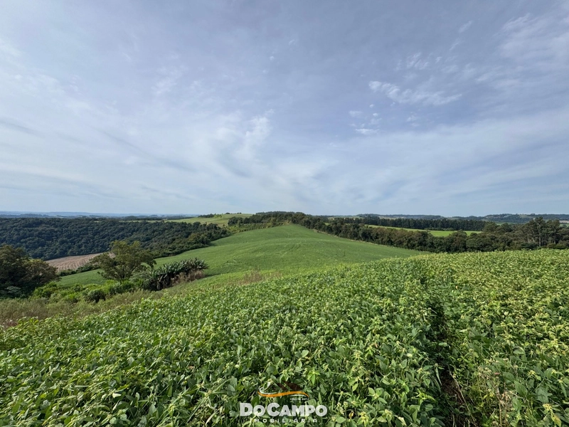 : 2ª foto da galeria de imagens do imóvel