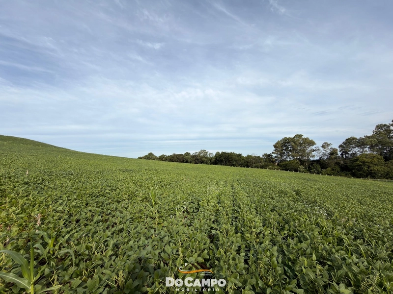 : 6ª foto da galeria de imagens do imóvel