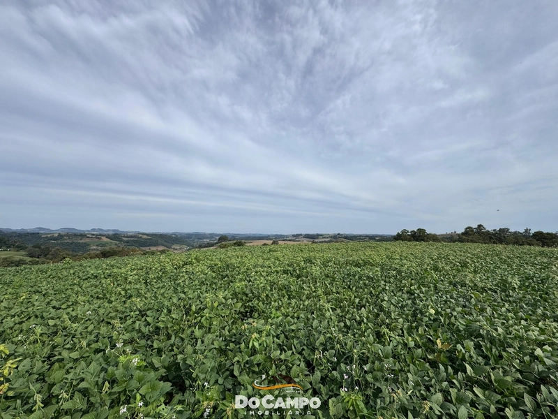 : 12ª foto da galeria de imagens do imóvel