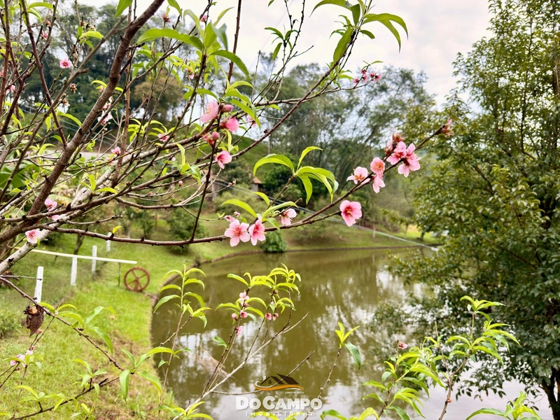 : 3ª foto da galeria de imagens do imóvel