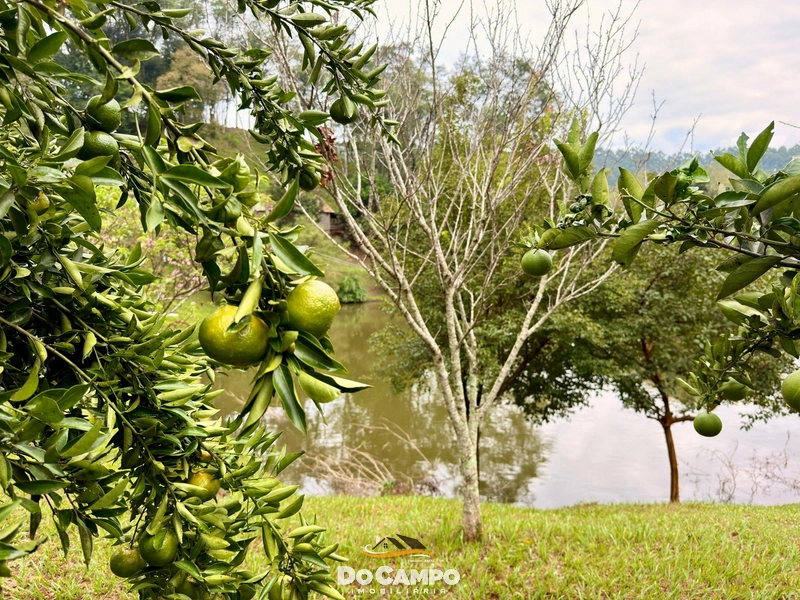 : 7ª foto da galeria de imagens do imóvel