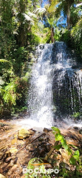 : 22ª foto da galeria de imagens do imóvel