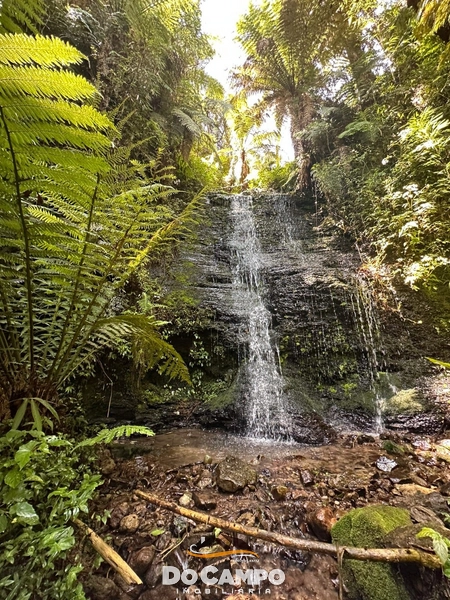 : 33ª foto da galeria de imagens do imóvel